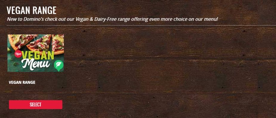 Veggie Meals - Vegan Pizza