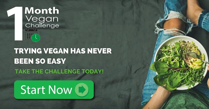 Veggie Meals Vegan Vegetarian 1 month vegan challenge top