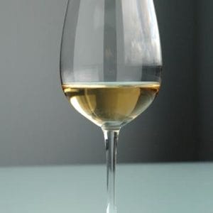 Veggie Meals - S&P Salut Set Of 6 410ml White Wine Glasses