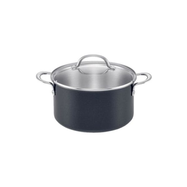 Veggie Meals - RACO Luminescence 24cm/5.7L Covered Stockpot