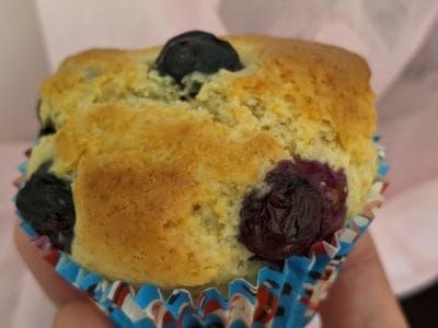 Vegan Blueberry Muffin